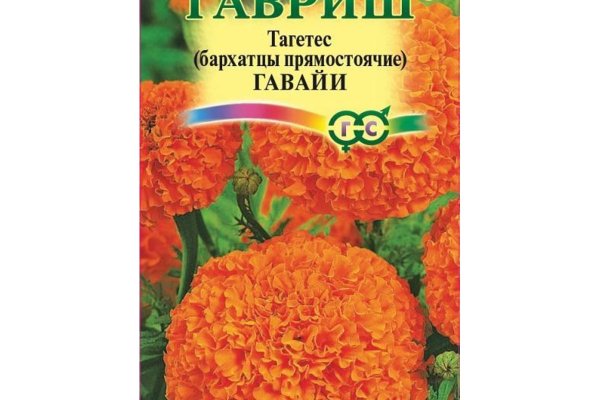 Наркоплощадки кракен