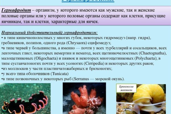 Найдется все kraken 2krn cc что это