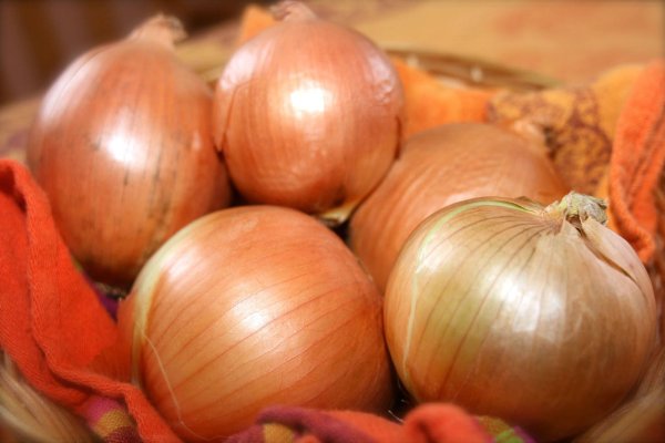 Официальная ссылка на кракен в тор