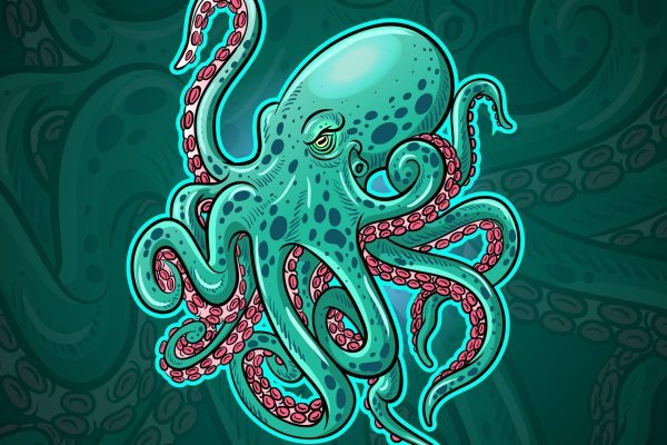 Kraken 13at магазин