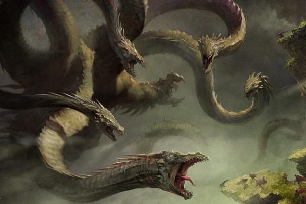 Kraken 7 org