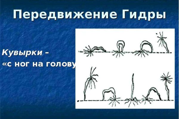 Кракен невозможно зарегистрировать пользователя